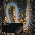 陶冶 - 被高铁甩下的爱