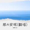 烟嗓大叔  林武威 - 那A安呢