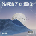 烟嗓大叔  林武威 - 谁明浪子心