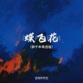 吉他的天空 - 蝶飞花