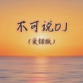 不可说 (DJ爱错版)