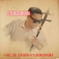 董芹 - 一剪梅 (小锐二胡)