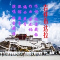 傲雪藏梅 - 吉祥布达拉-傲雪藏梅