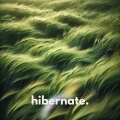Positive Music Universe - Mycelial Magic