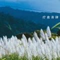 疗愈音律 - 正念冥想·专注当下 (放松纯音乐)