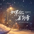 如果你看到雪