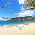8 Sound of Serenity Meditative Binaural Beats