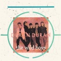 The Wild Boys