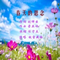 傲雪藏梅 - 春天里的思念