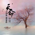辛雯 - 天命