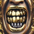 Mehdi kaya - Shar
