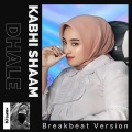 DJ Lunox - Kabhi Shaam Dhale (Breakbeat)