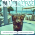Soothing Hawaiian Music with the Summer Sunshine