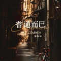 陈纠结 - 普通而已
