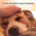 Dog Calming Music、Dog Relaxation、Jack Christiansen - Whispering Waters