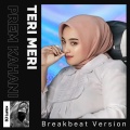 DJ Lunox - Teri Meri