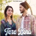 Aamir Khan、Ashish Kalyan - Tere Bina