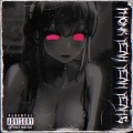 Phonk 808、nellyx$666 - Phonk Yeah Yeah Yeahs