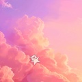 Chilled Pig - you are my sunshine