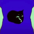 Bling Bling Bang Cat