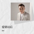 郑琦 - 爱错以后
