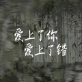 爱上了你爱上了错 (DJ版)