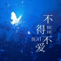 DJ鱼籽、DJ鲤鲤 - 不得不爱