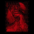 Pazoo、Daaweed Gim - Stardust Euphoria (feat. Pazoo)