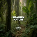 Rain Sounds Nature Collection - Severe Weather