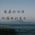 没送过女孩花 - 你也是我的信徒吗