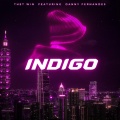 Indigo (feat. Danny Fernandes)