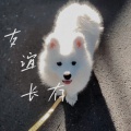 开哈哈_Caius - 友谊长存