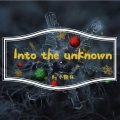 柯宇（孙泽耀） - Into the Unknown