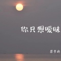 你只想暧昧