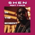 In The Moment (feat. T-Pain)(Explicit)