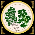 泽旺多吉、王丽达 - 月亮菜