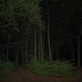 Leland - i see burlap
