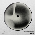 Bass King - Why