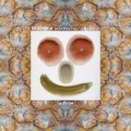 Dfender - Mandarina