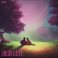 南辰 - 漫游过往