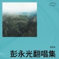 彭永光 - 来与不来我都在等你