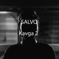 Kavga