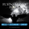 Flying Money Bag$ (feat. Curren$y)(Explicit)