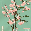 燕绝殇 - 桃花落尽无人晓