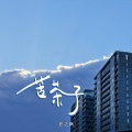 徐艺枫 - 苦茶子