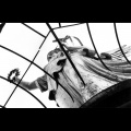 antihoney - Dove