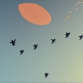 于77 - 放空 (14秒片段)