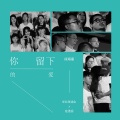 徐海星 - 你留下的爱