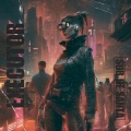 Sub de Santa - Executor