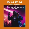 Tell Me If You're Down (feat. T-Pain)(Explicit)